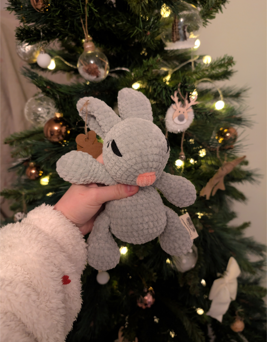 Martin le Lapin 🐰