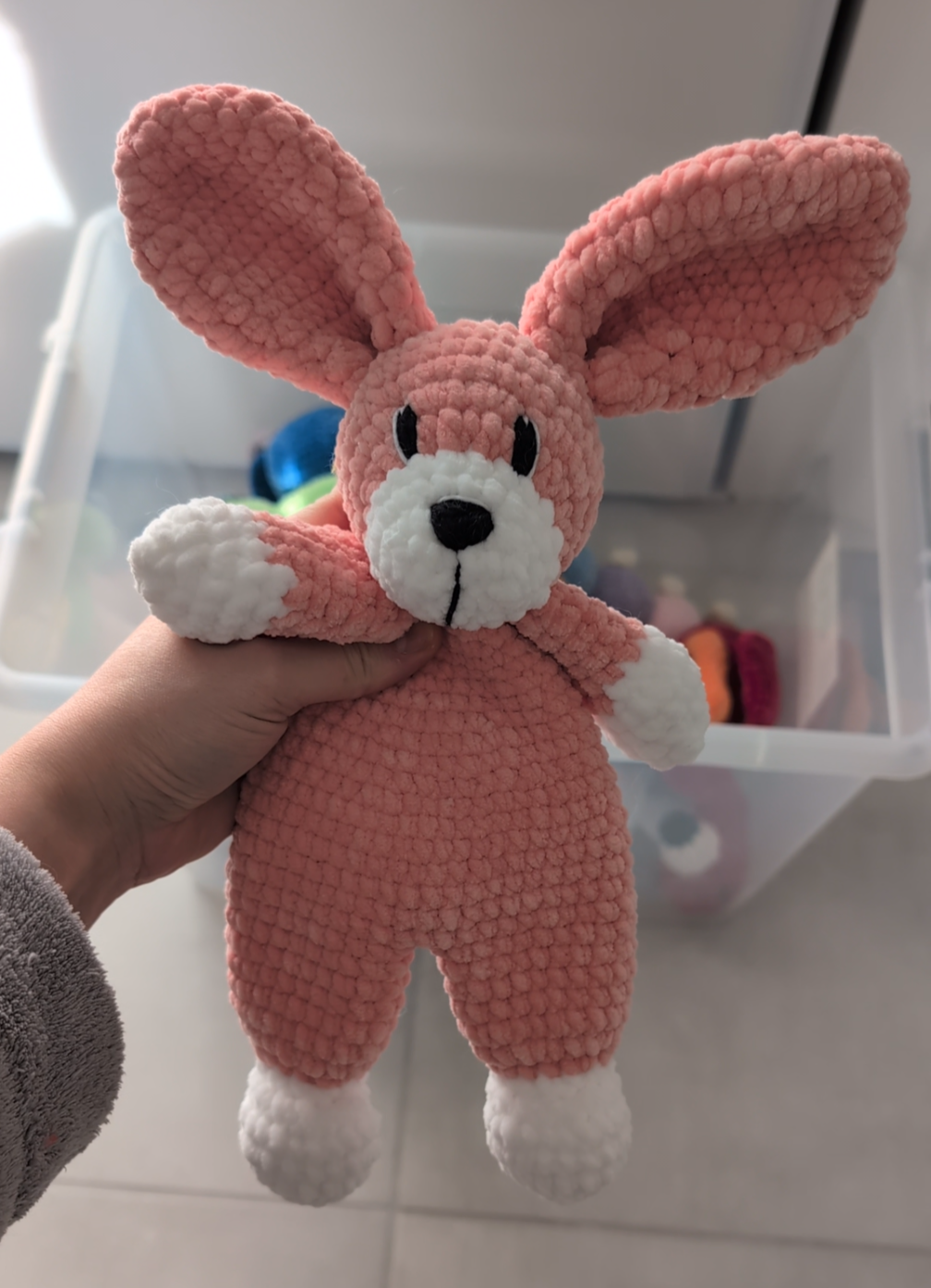 Martin le Lapin 🐰