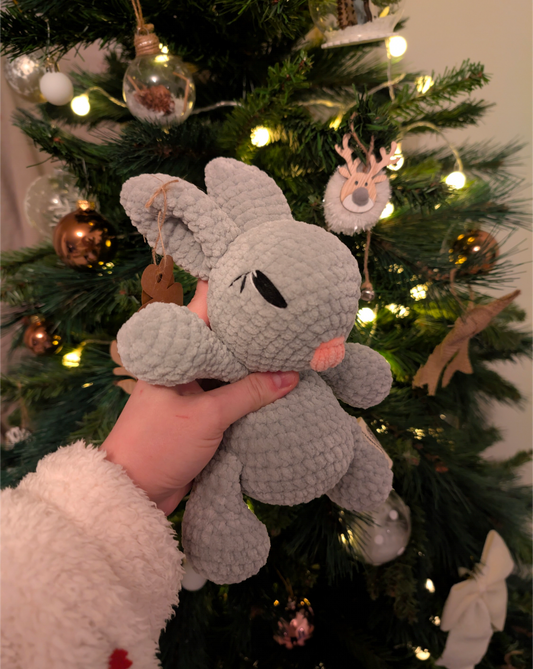 Martin le Lapin 🐰